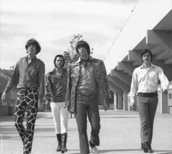 CD Various: The Seeds: Pushin' Too Hard (Original Soundtrack)