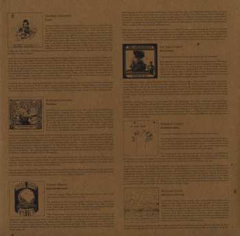 2LP Various: Wayfaring Strangers: Guitar Soli