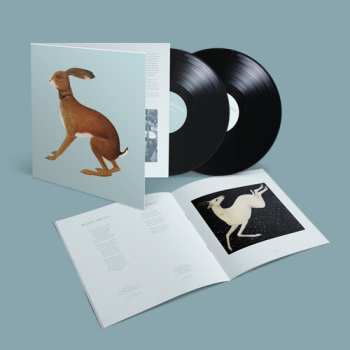 2LP Vashti Bunyan: Lookaftering ( Expanded )