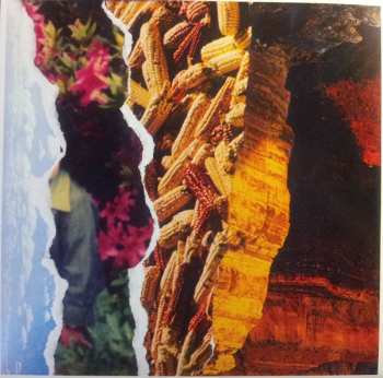 LP Vertical Scratchers: Daughter Of Everything