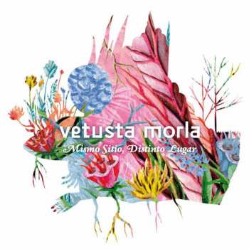 CD Vetusta Morla: Mismo Sitio, Distinto Lugar