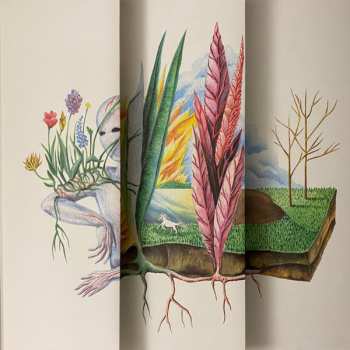 LP Vetusta Morla: Mismo Sitio, Distinto Lugar