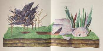 LP Vetusta Morla: Mismo Sitio, Distinto Lugar