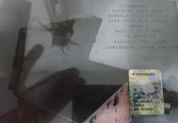 CD Violet Tears: Outside Your Door