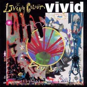 Vivid