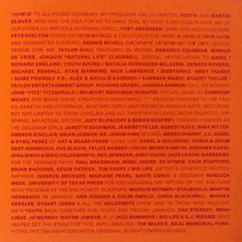 CD Vivien Goldman: Next Is Now