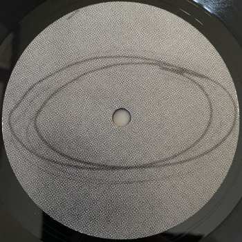 2LP Vladislav Delay: Multila