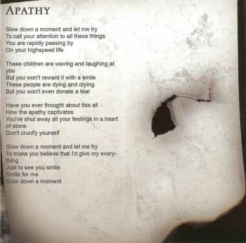 CD Voices Of Destiny: From The Ashes