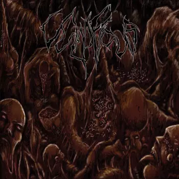 Inclination