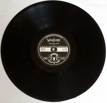 LP/CD Waldgeflüster: Stimmen im Wind 2020