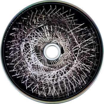 2LP/2CD Wallis Bird: Architect