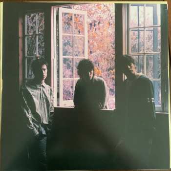 LP Wallows: Tell Me That It's Over LTD | CLR