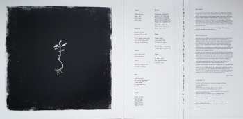 2LP Wardruna: Runaljod - Gap Var Ginnunga LTD | CLR