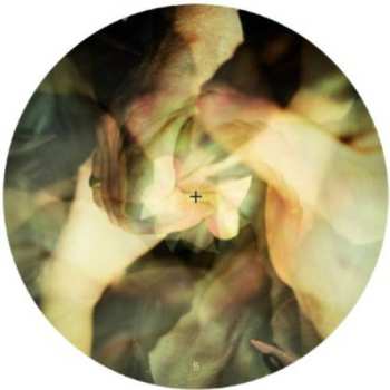 Album Wareika: Burnin