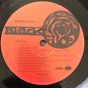 LP Wayne Davis: Wayne Davis