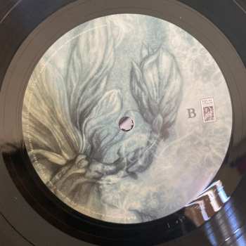 LP We Came As Romans: To Plant A Seed