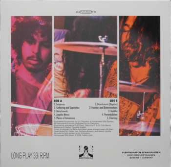 LP We Here Now: The Chikipunk Years