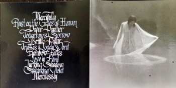 CD Wear Your Wounds: Rust on the Gates of Heaven