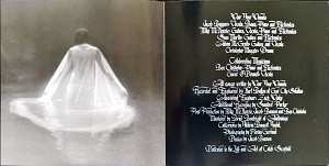 CD Wear Your Wounds: Rust on the Gates of Heaven