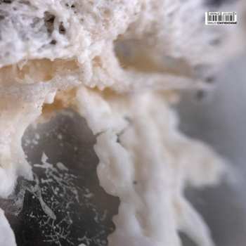 LP Welten: Thaw
