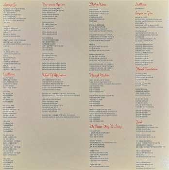 LP Wild Nothing: Indigo