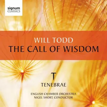 The Call Of Wisdom