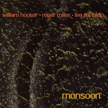 Lee Ranaldo: Out Trios Volume One: Monsoon