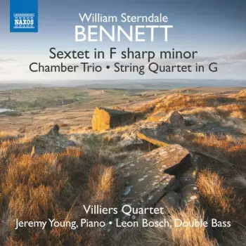Chamber Music