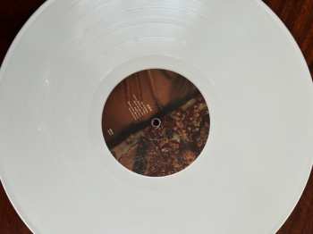 LP Winterbourne: Act Of Disappearing CLR