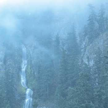 Album Wolves In The Throne Room: Diadem Of 12 Stars