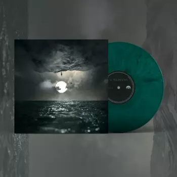 Wooden Veins: In Finitude