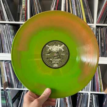 LP Worm: Foreverglade  LTD | CLR