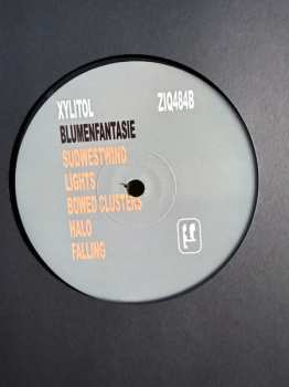 LP Xylitol: Blumenfantasie