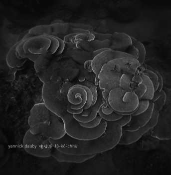 Album Yannick Dauby: 咾咕厝 ló​-​kó͘​-​chhù - Penghu Experimental Sound Studio Vol​.​2