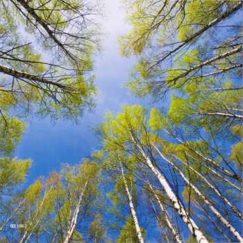 CD Ylioppilaskunnan Laulajat: Kevätsointuja (Lauluja Isänmaalle, Keväälle, Naiselle Ja Maljalle)