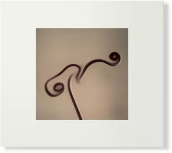 Yokota,susumu: Image 1983