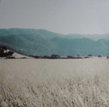 LP You+Me: Rose Ave. LTD