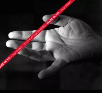 Made In Y.O. = メイド イン Y.O.