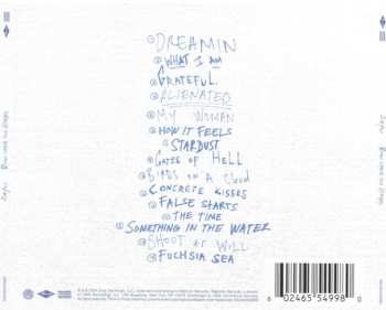 CD ZAYN: Room Under The Stairs LTD