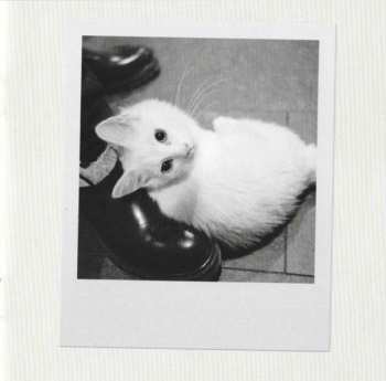 CD ZAYN: Room Under The Stairs LTD