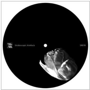 Album Zeitgeber: Body Out Body In