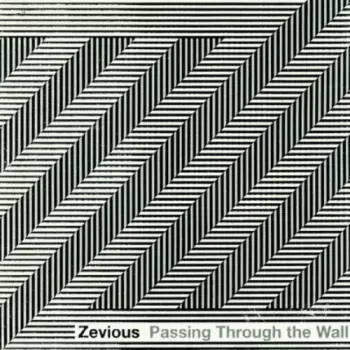 Passing Through The Wall