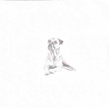 LP Ziggy Alberts: Land & Sea X Four Feet in the Forest (10-year edition) LTD