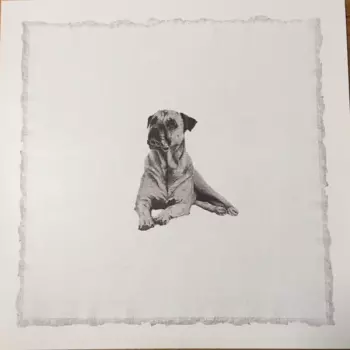 Land & Sea x Four Feet in the Forest