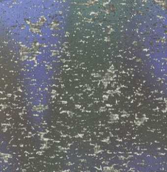 CD Zoviet France: Digilogue