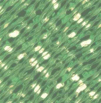 CD Zoviet France: Digilogue